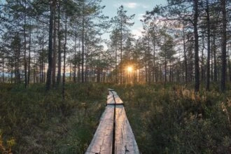 Фестиваль “Нове німецьке кіно” покаже фільм, знятий у Києві